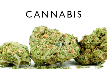 Canada Cannibis Dispensary Cannibis Buds
