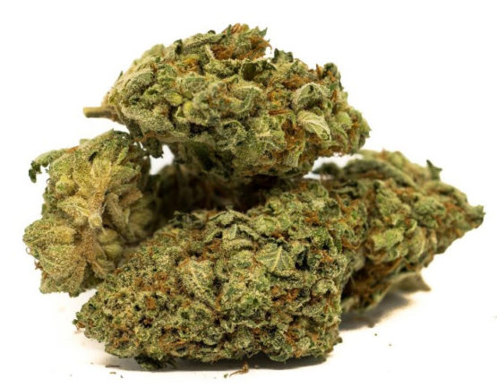 Durban Poison Cannabis Strain 2