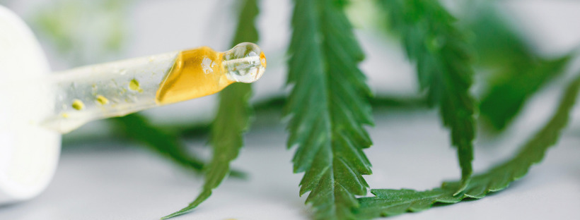 What Is CBD And Why Is It Used