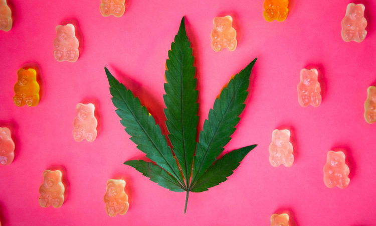 Make Better Marijuana Edibles with These Tips