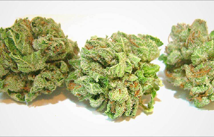 cannabis strains 2