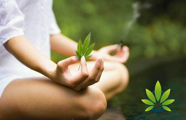 Meditation and Cannabis