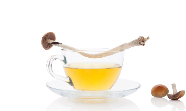 How To Make Magic Mushroom Tea