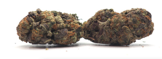 Purple God Cannabis Strain Cropped