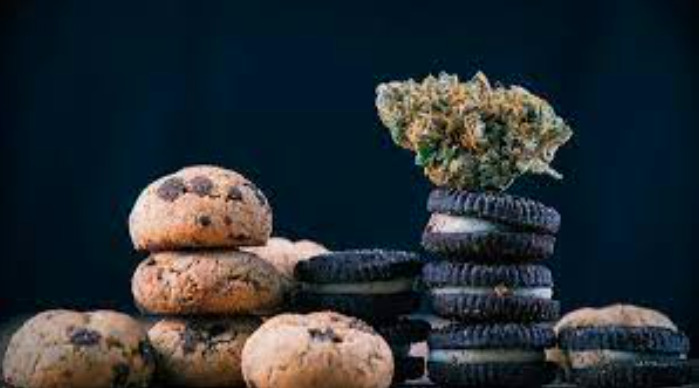 Potential Benefits of Marijuana Munchies