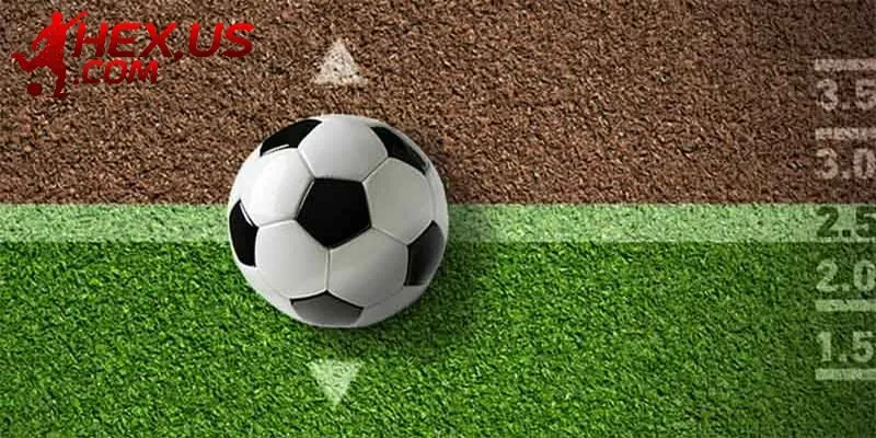 Tổng quan về kèo đồng nửa dành cho khách mới