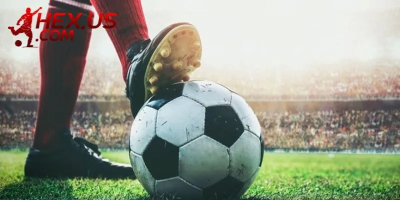 Liên hệ chúng tôi ngay khi bạn phát hiện thông tin chưa đúng