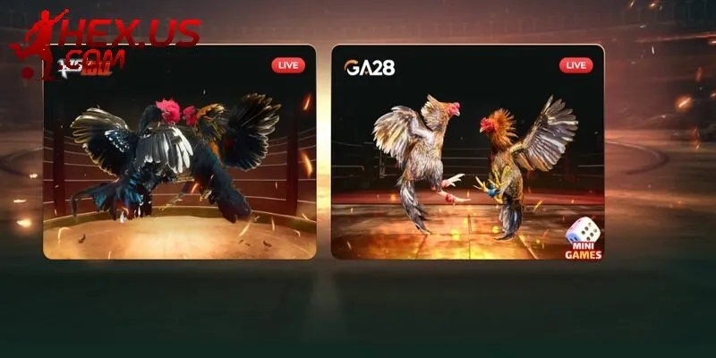 Điểm danh một số bộ môn ăn khách tại nền tảng