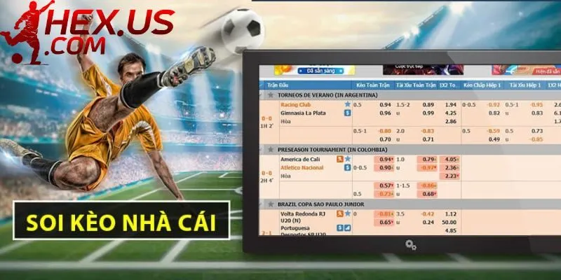 Những nội dung chính do kèo nhà cái 5 cung cấp