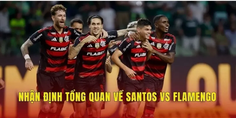 Nhận định tổng quan về Santos vs Flamengo