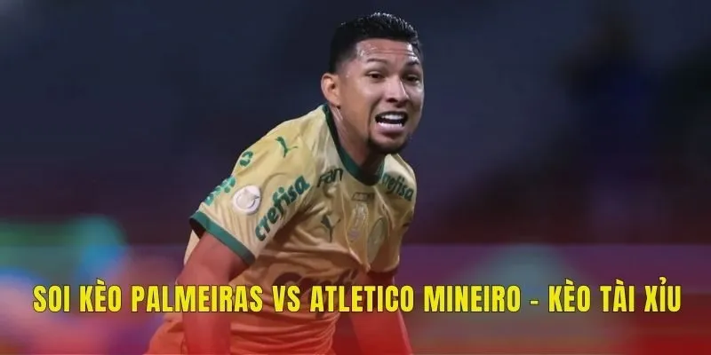 Soi kèo Palmeiras vs Atletico Mineiro - Kèo tài xỉu
