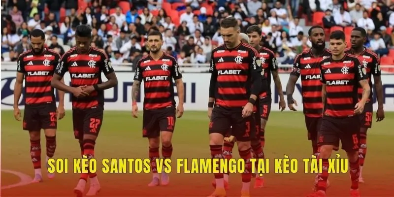 Soi kèo Santos vs Flamengo tại kèo tài xỉu